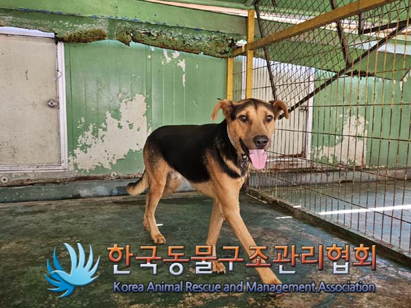 한국동물구조관리협회_441406202401568